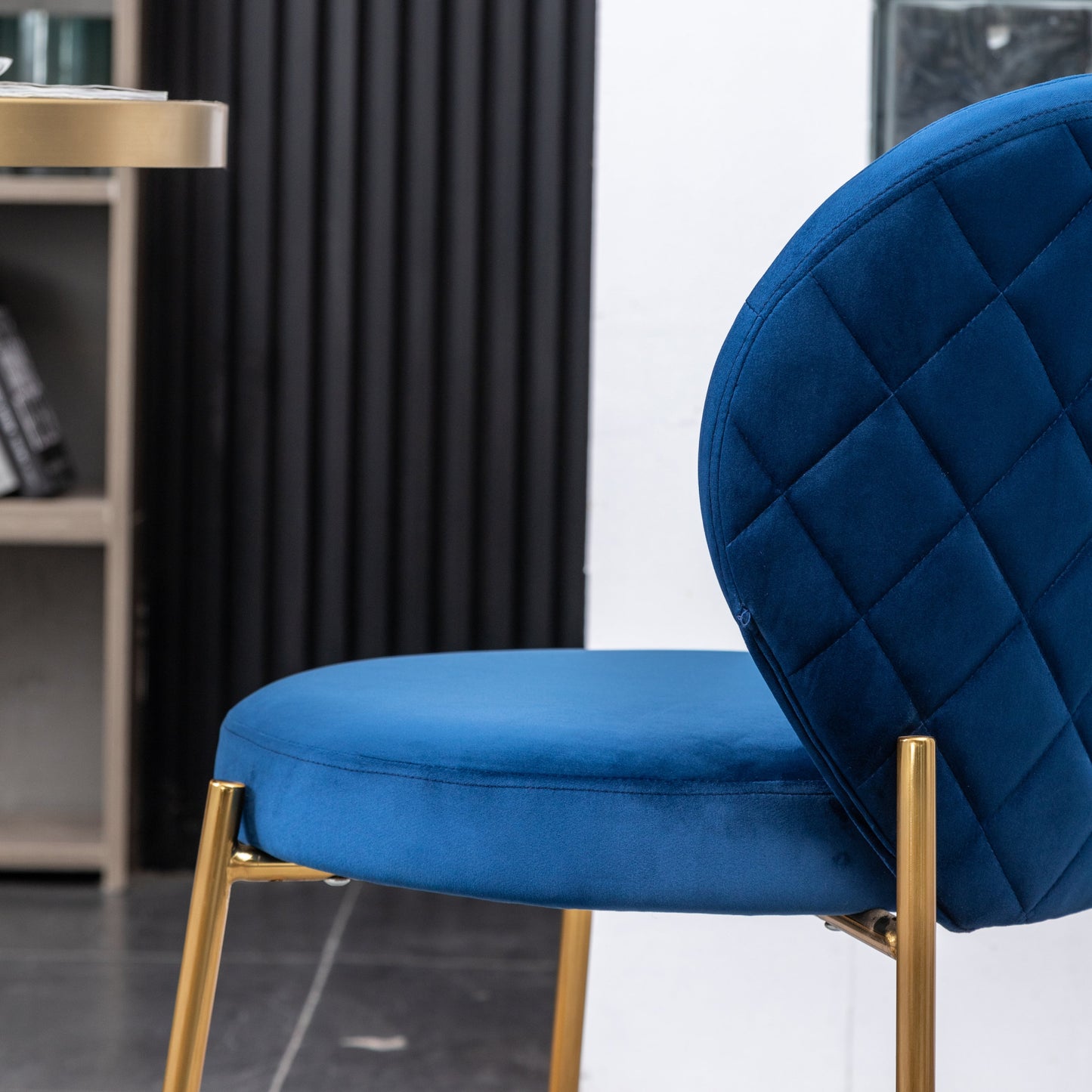 Roundhill Furniture Amoa Contemporary Velvet Upholstery Dining Chairs, Set of 2